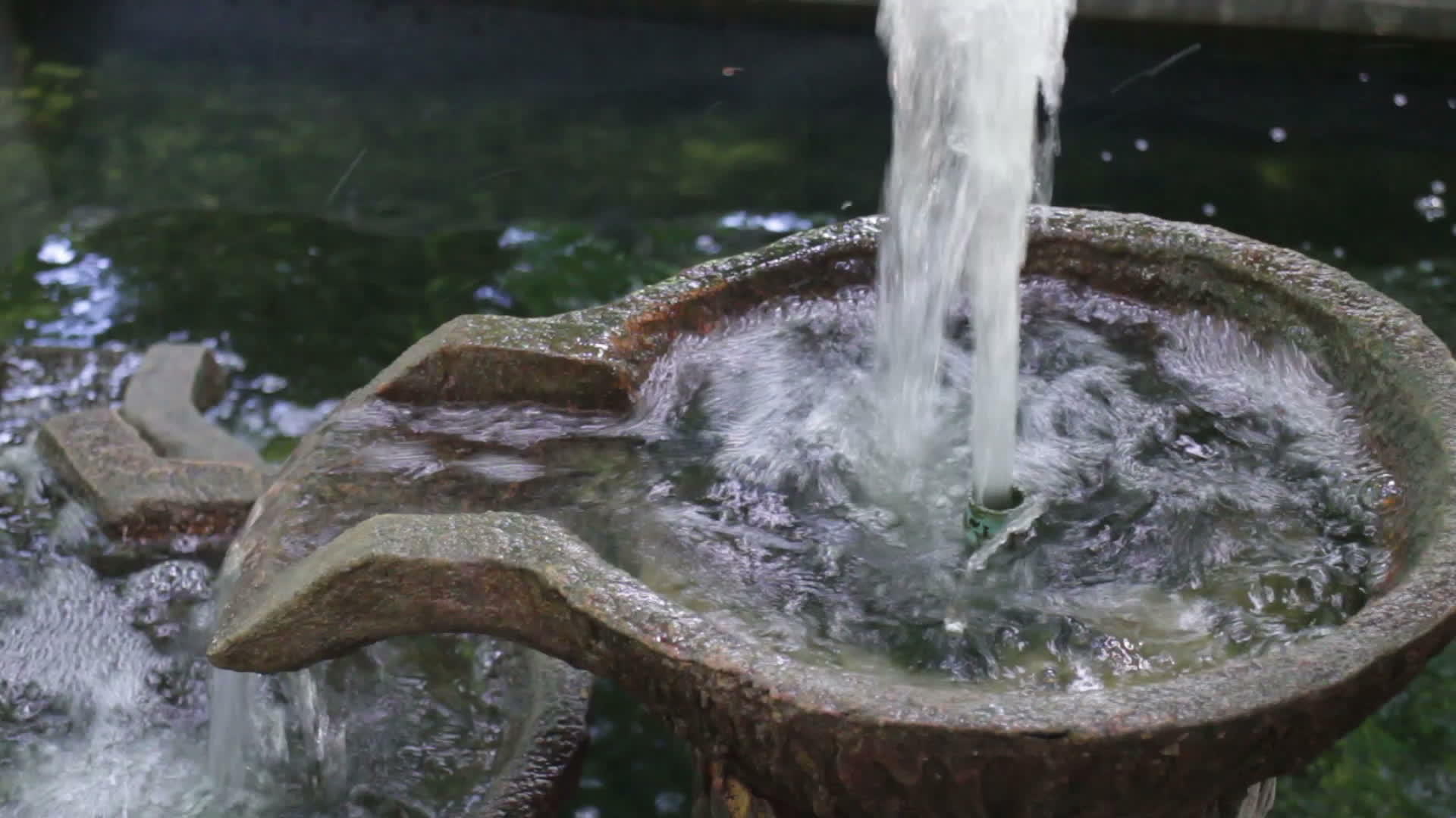 装饰在花园池塘中的灰缸视频的预览图