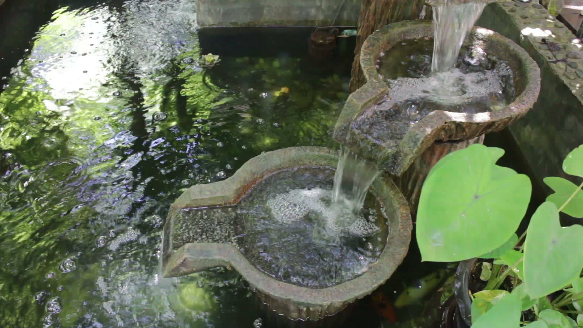 装饰在花园池塘里的棕色碗视频的预览图