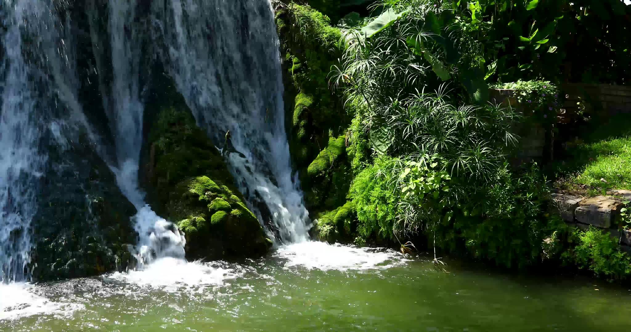 自然的风景视频的预览图