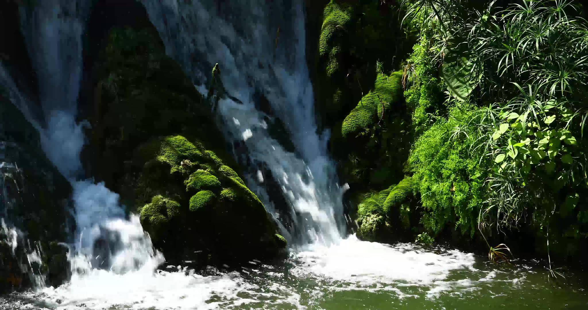 自然的风景视频的预览图