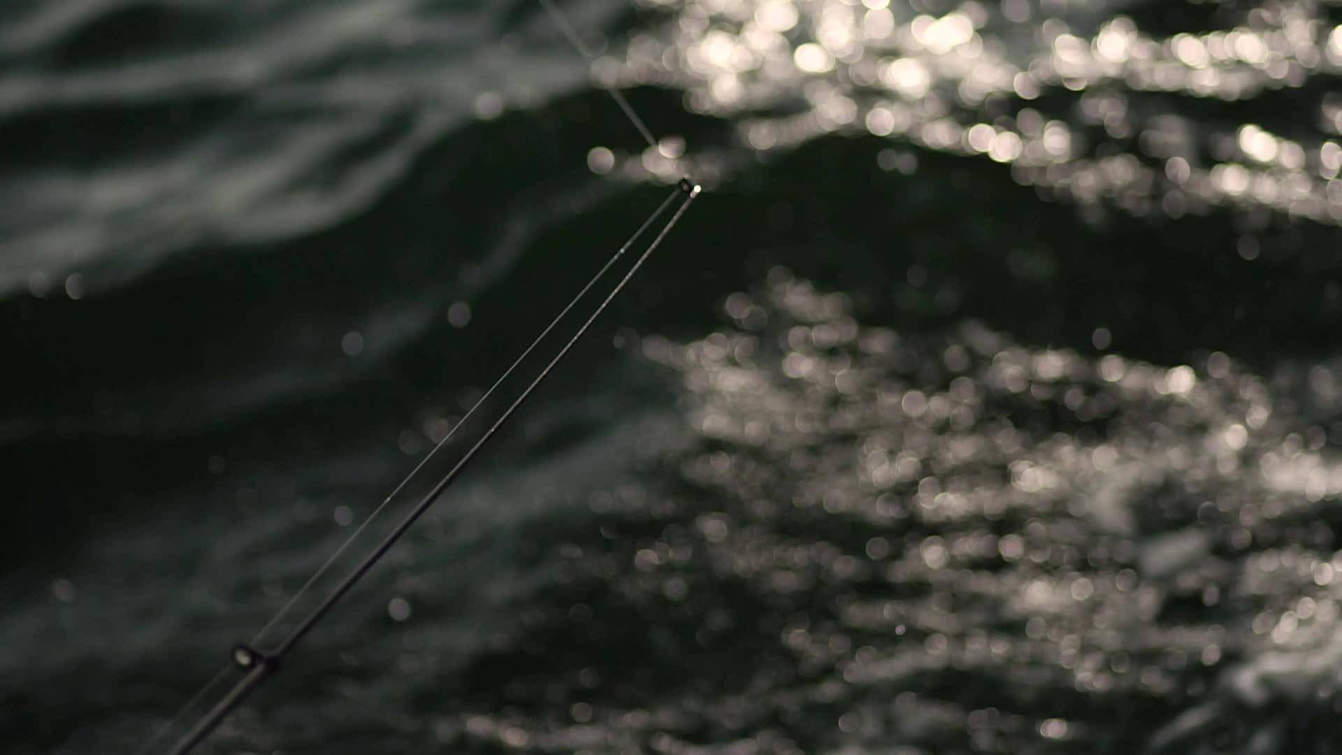 在阳光明媚的天气在海上钓鱼视频的预览图