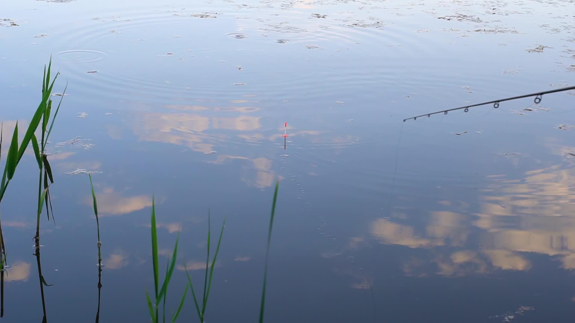 用浮杆在河上钓鱼视频的预览图