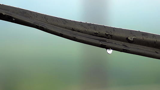 雨天从铁丝线滴水Dof视频的预览图