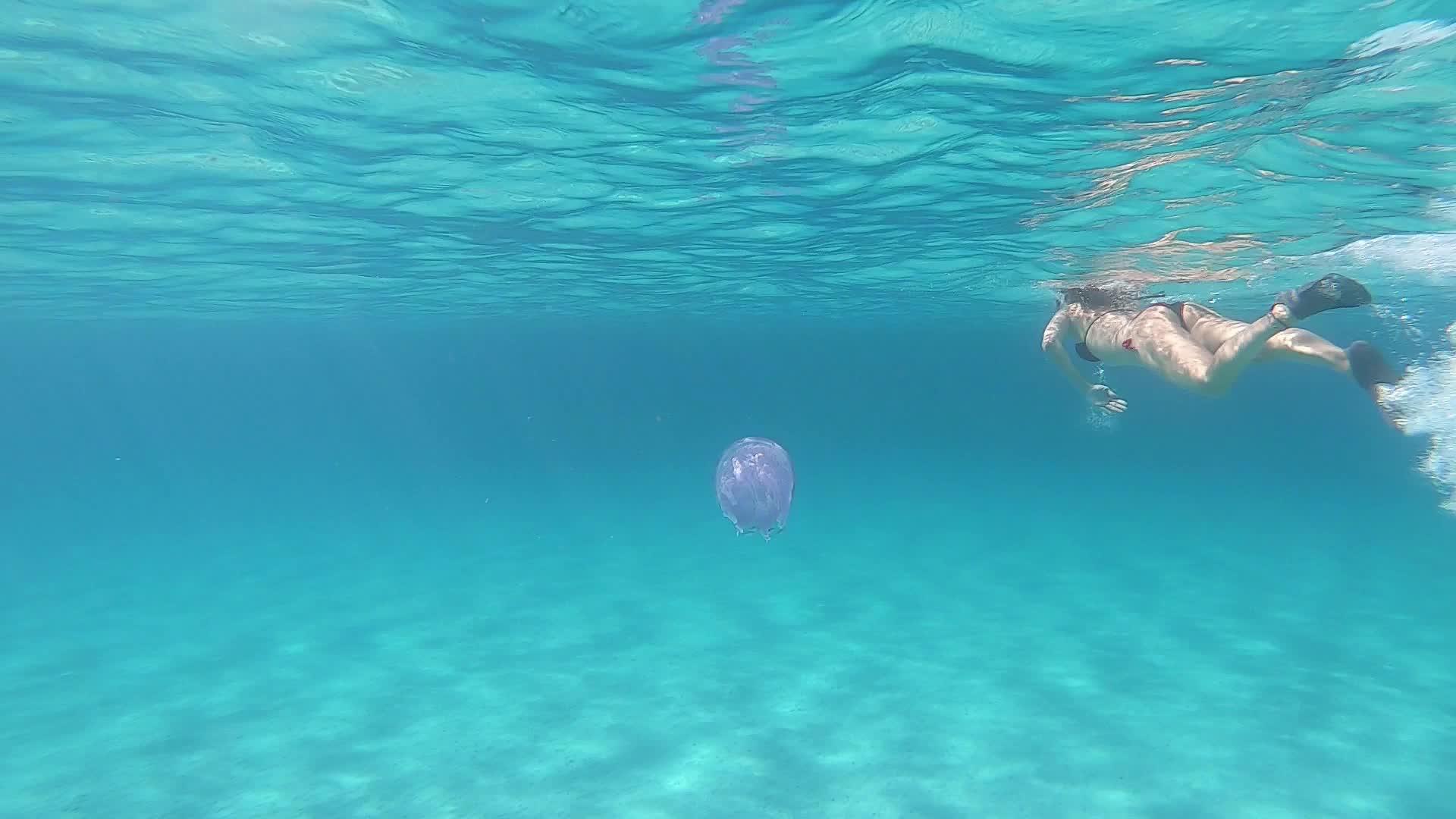 一位年轻美女在水下慢动作在透明的蓝色中游泳视频的预览图