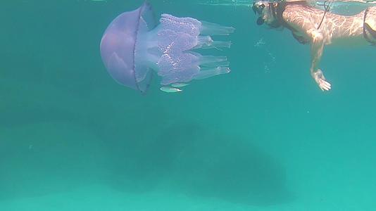 一位年轻美女在水下慢动作在透明的蓝色中游泳视频的预览图
