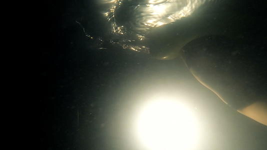 小女孩的休眠带充气环在黑暗的游泳池表面游泳由水下灯光照亮视频的预览图