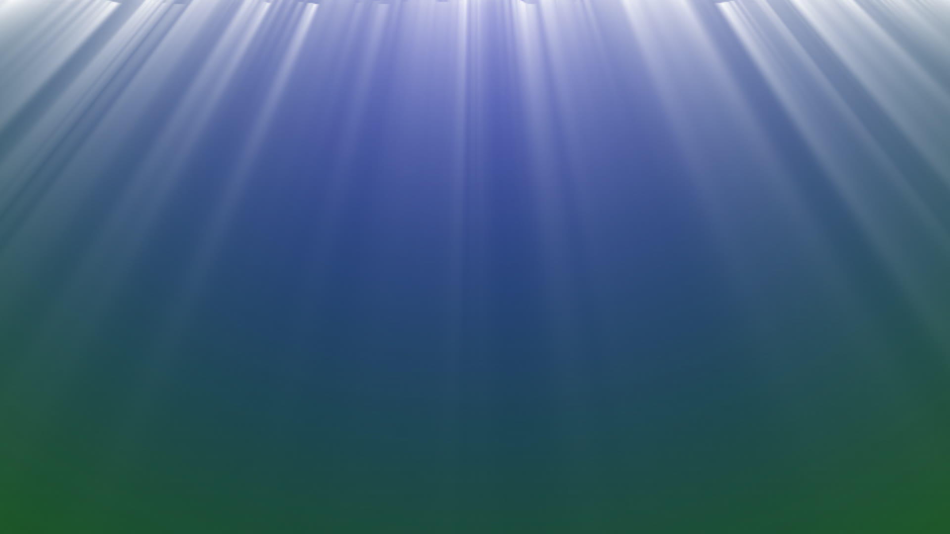 深洋中视频的预览图