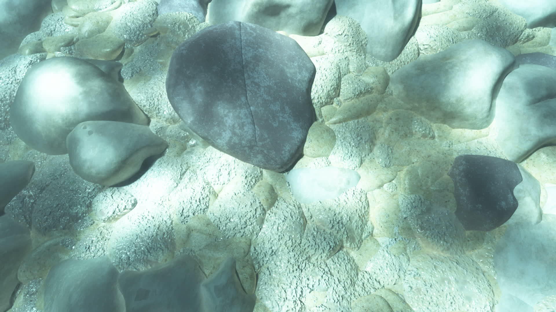 水下光岩视频的预览图