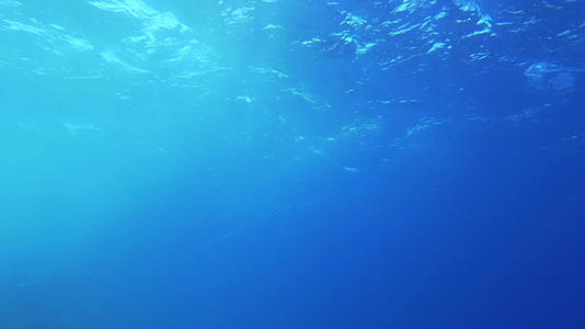 从深处可以看到卷水水面视频的预览图