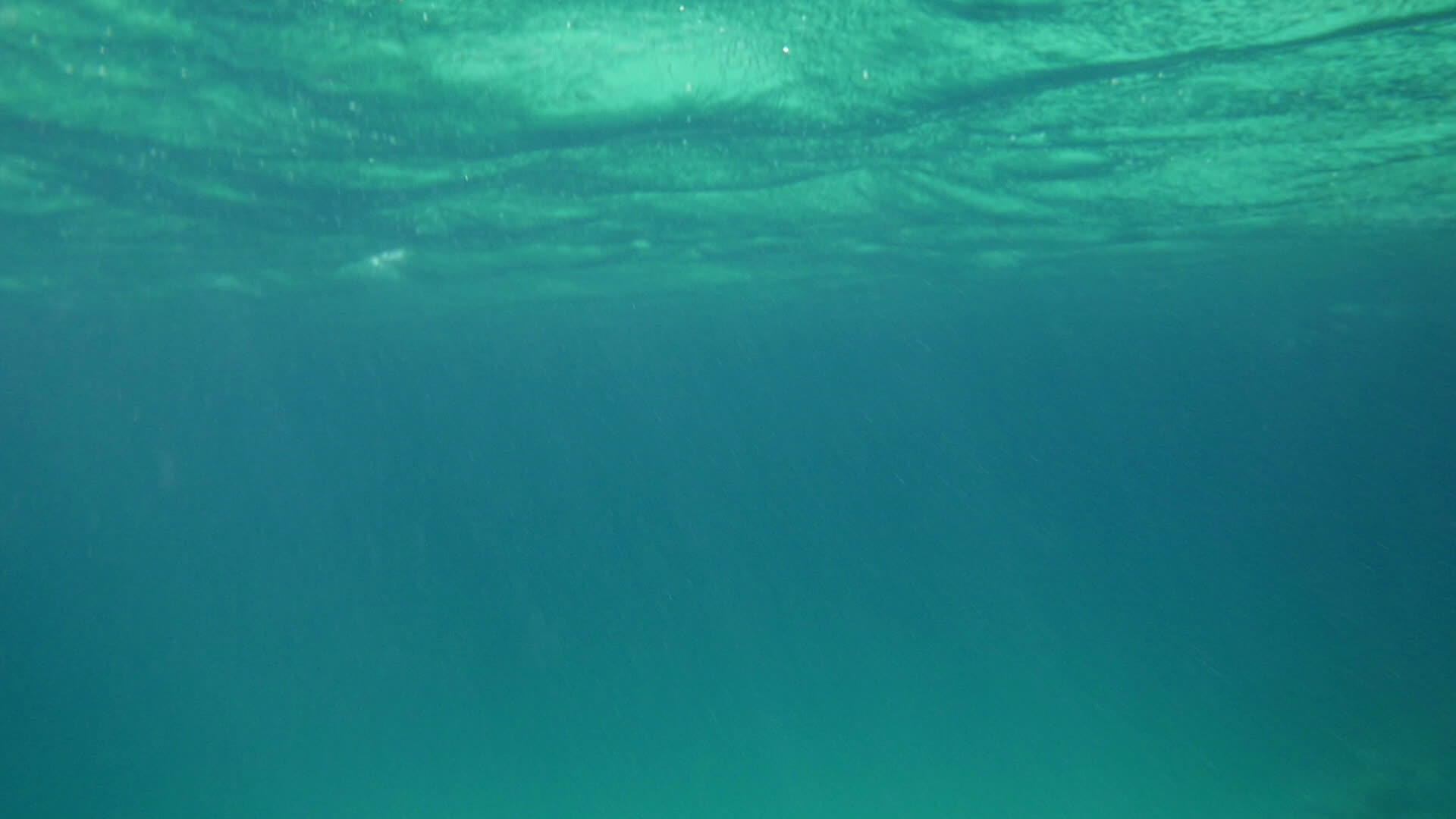 水下大海表面视频的预览图