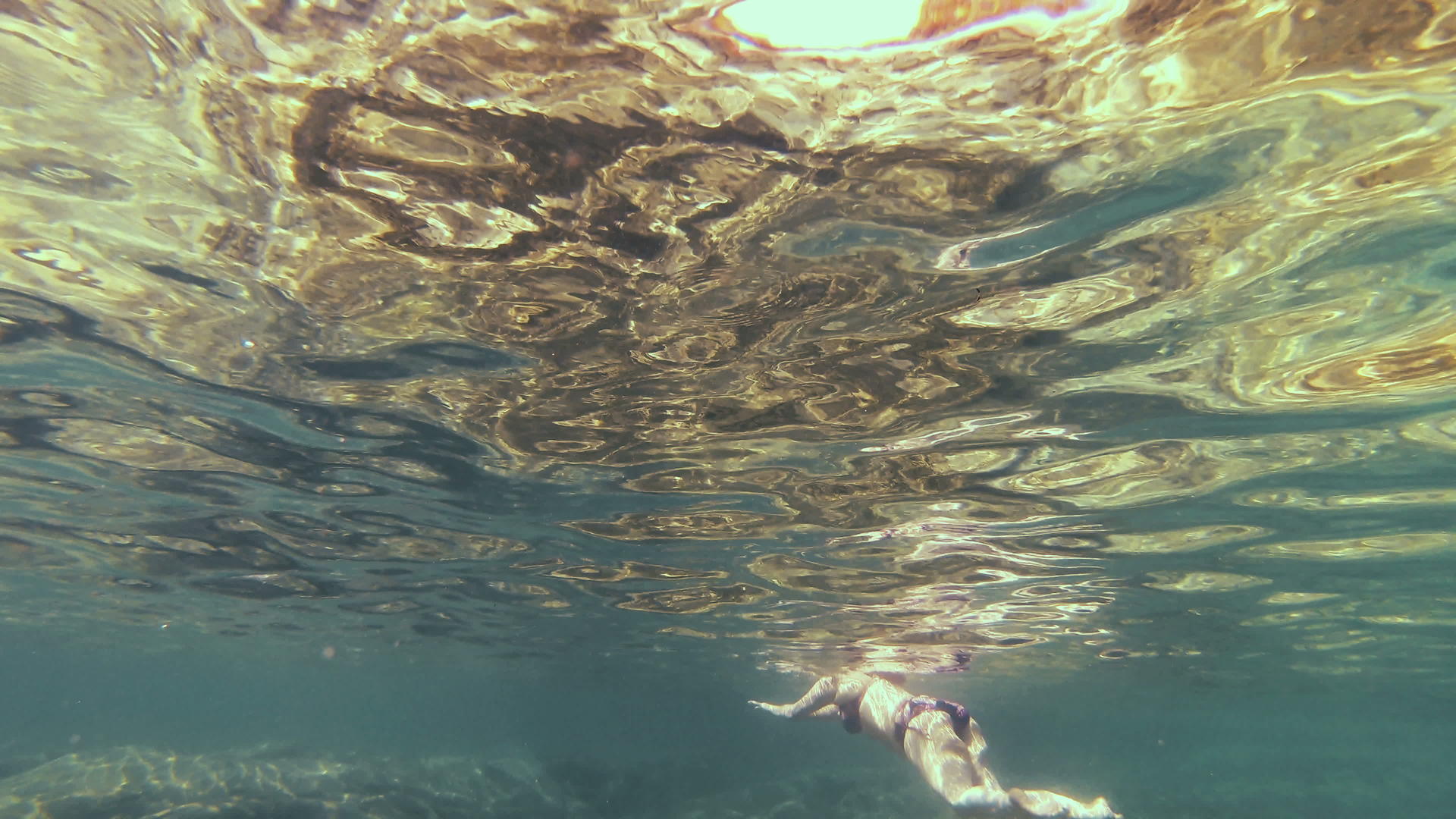 在水下潜水4k视频的预览图