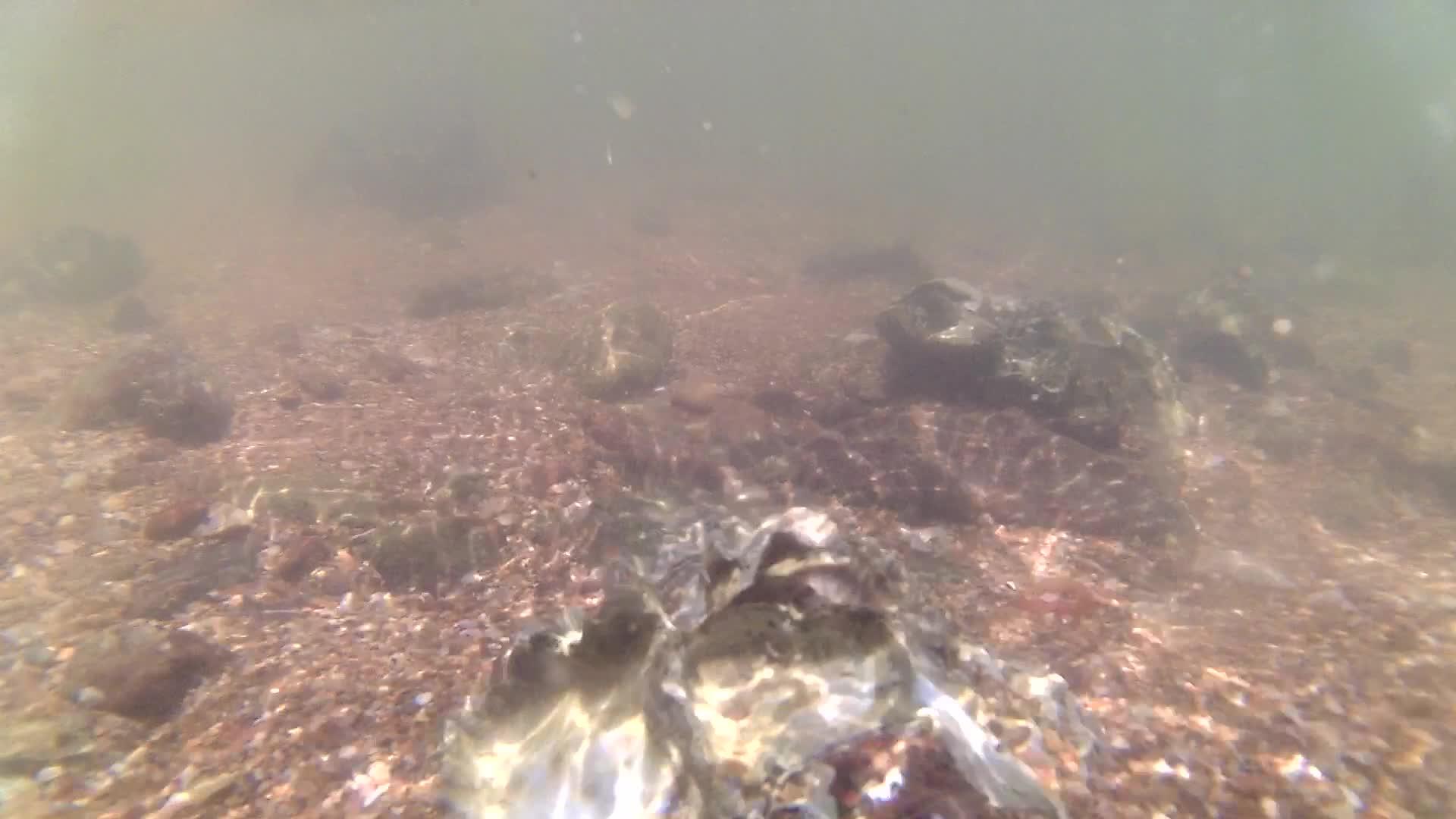 水下波岩石海滩视频的预览图