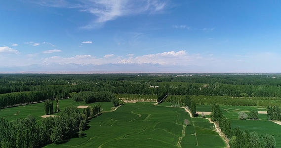 新疆阿克苏农业基地航拍视频的预览图