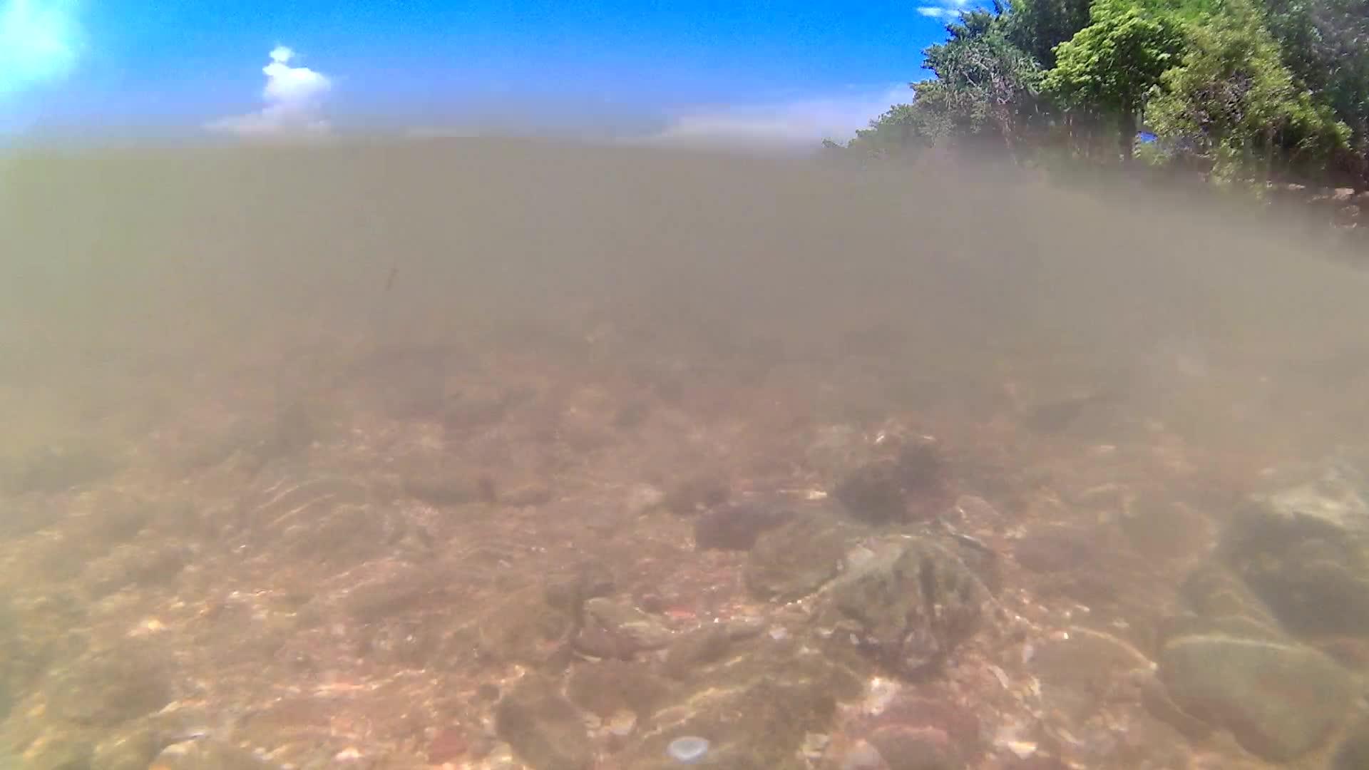 水下波岩石海滩视频的预览图