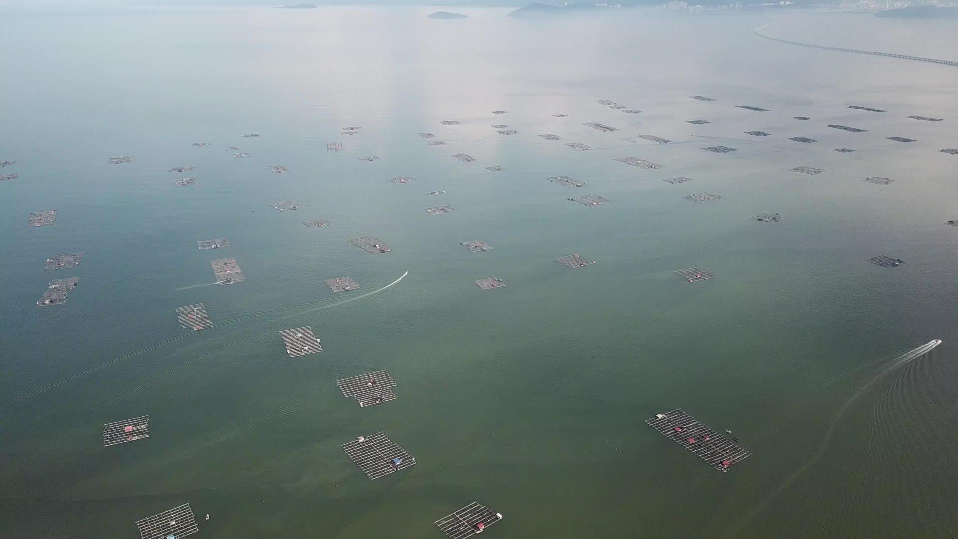 横渡渔船飞向奉江第二桥视频的预览图