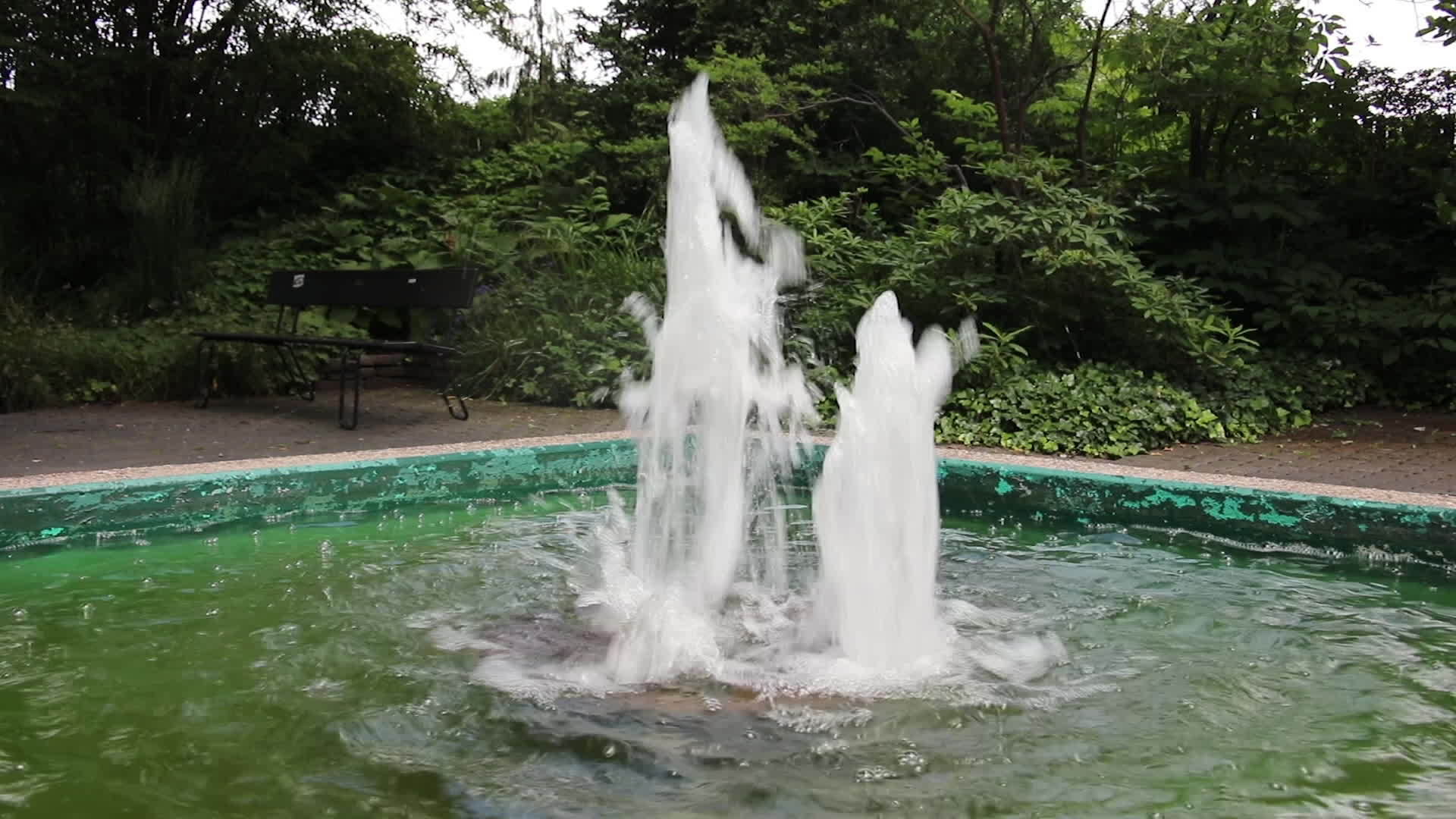 城堡公园池塘里的泉水喷泉视频的预览图