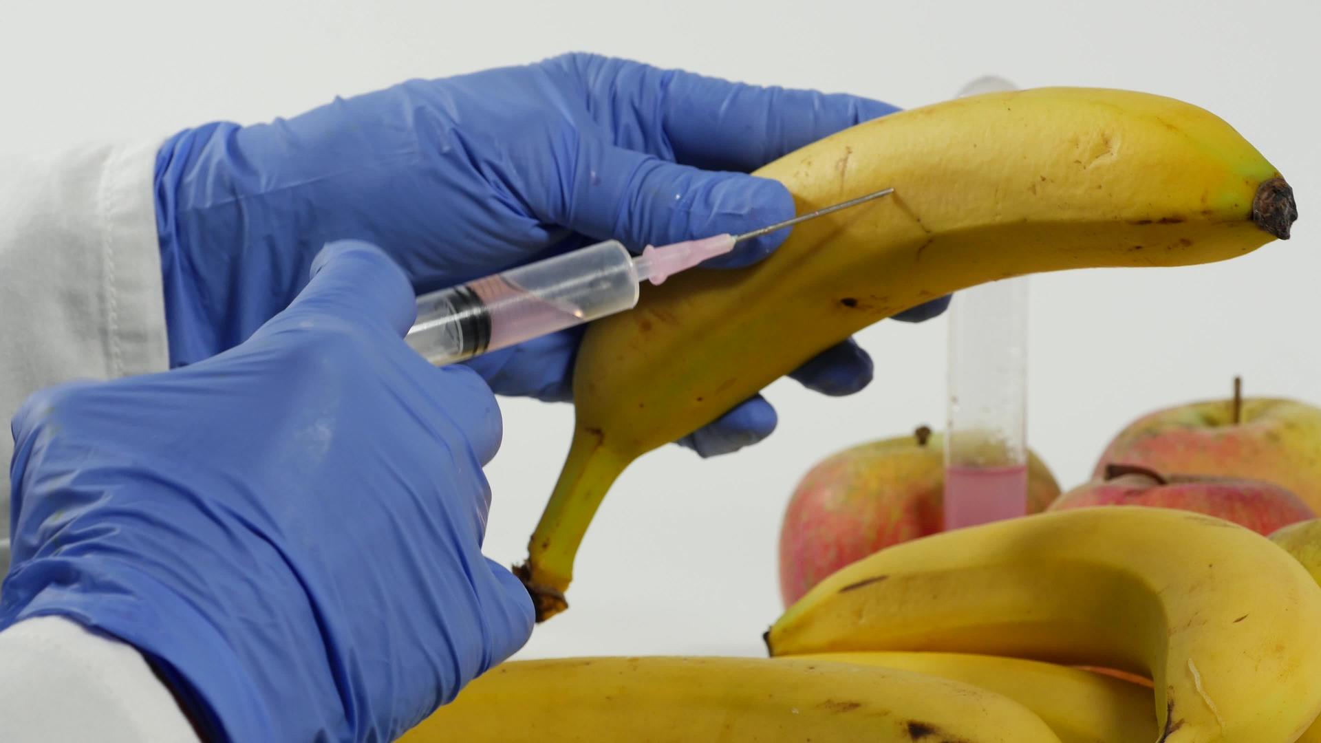戴手套的女性使用注射器对水果进行基因改造视频的预览图