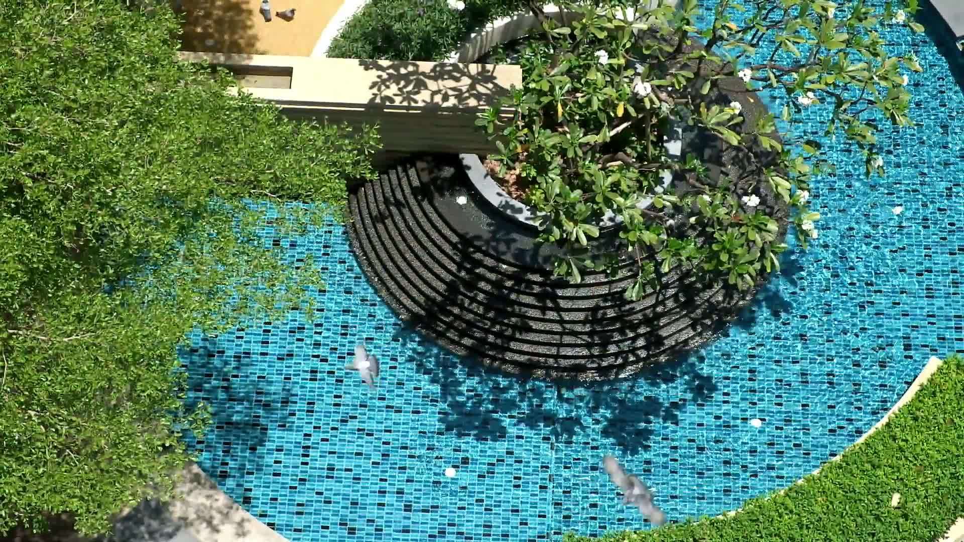 夏季热带花园的户外游泳池和喷泉视频的预览图