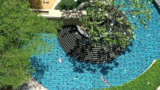 夏季热带花园的户外游泳池和喷泉视频的预览图