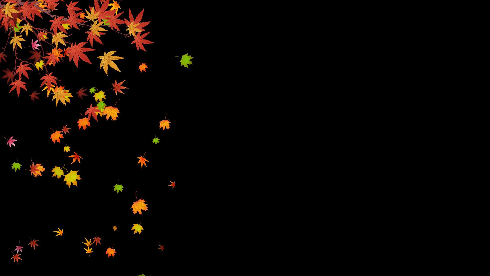 秋天立秋树叶红黄枫叶飘落动画视频的预览图