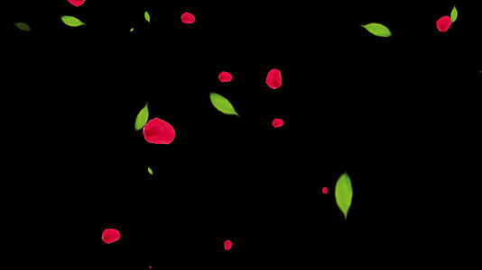 4K透明通道唯美的花瓣树叶落下素材视频的预览图
