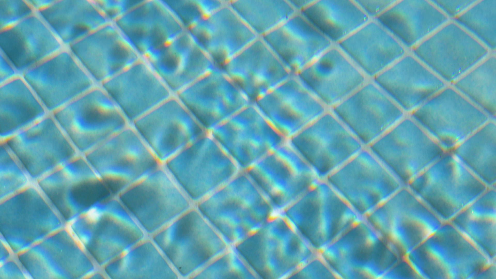 水下游泳池瓷砖视频的预览图