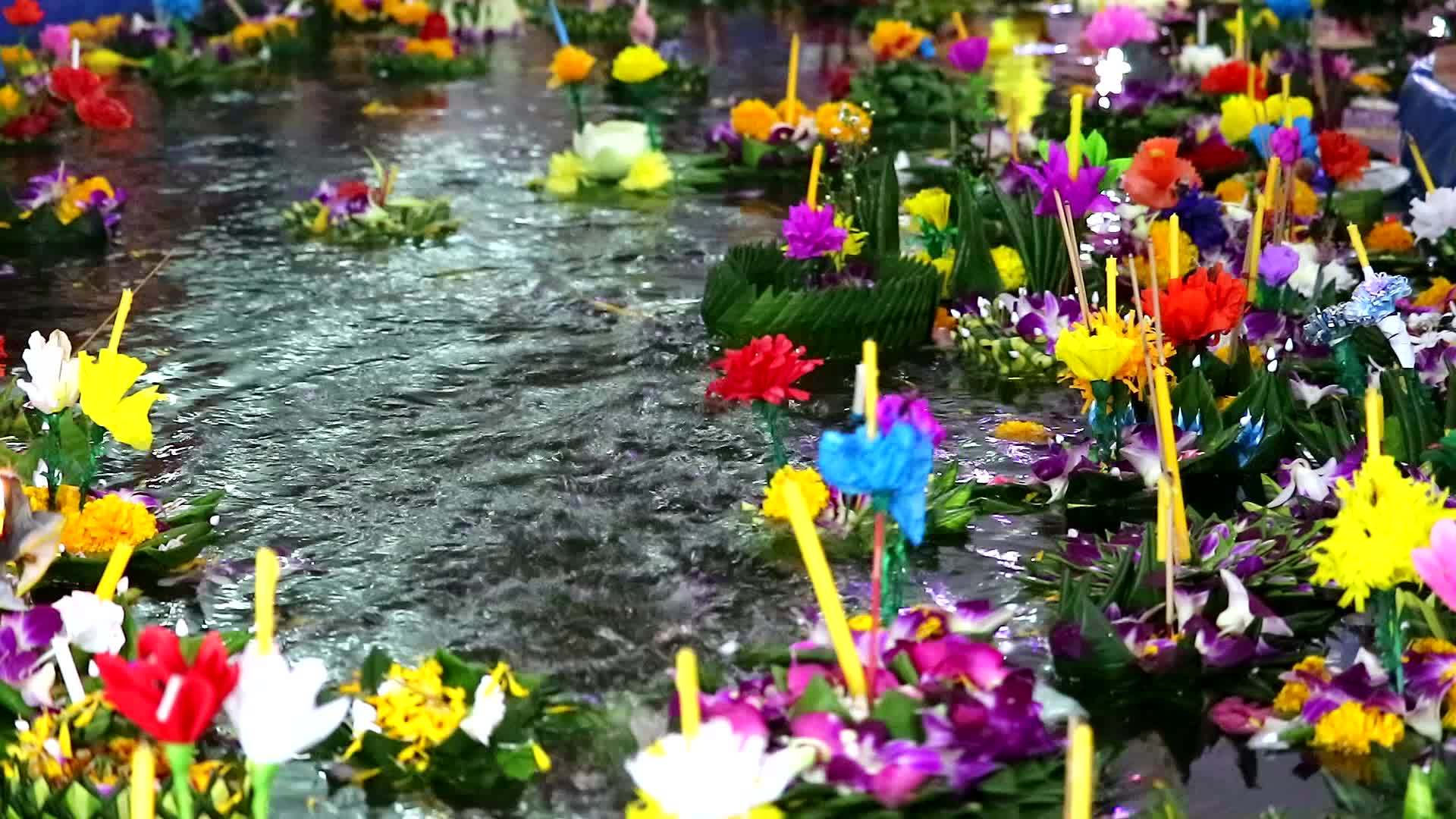 香蕉树Krashhong花朵漂浮在Loikrashhong视频的预览图