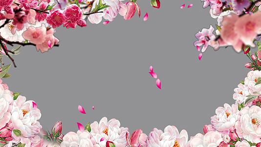春天浪漫粉色花开边框带通道视频的预览图