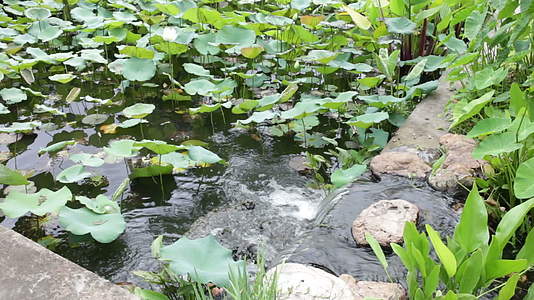 花园瀑布的接两个池塘的特征视频的预览图