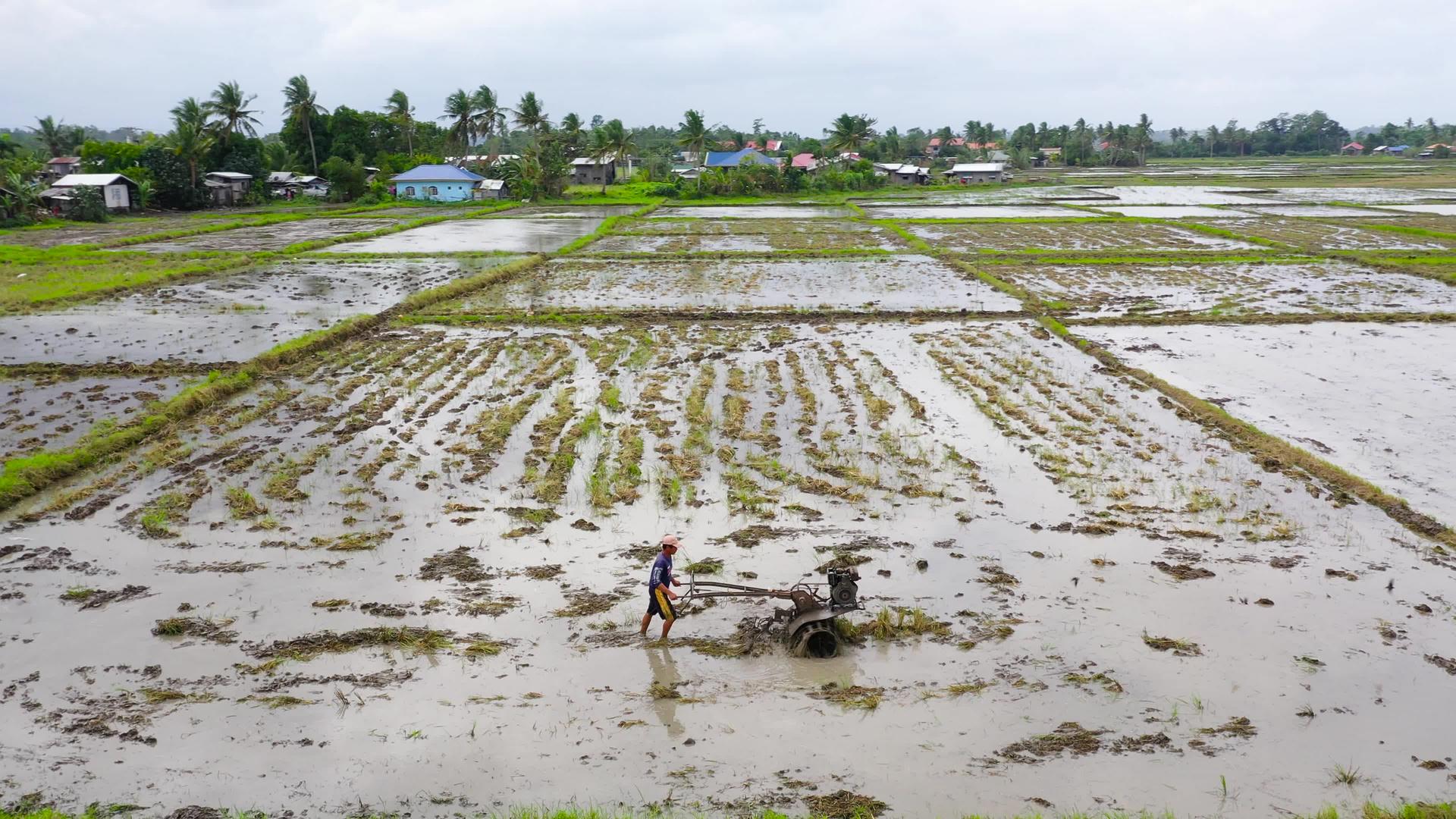 用稻田拖拉机耕种稻田让该地区做好水稻种植准备视频的预览图