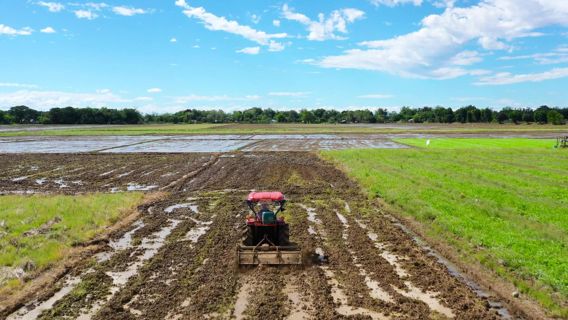 拖拉机在菲利平为播种大米准备土壤视频的预览图
