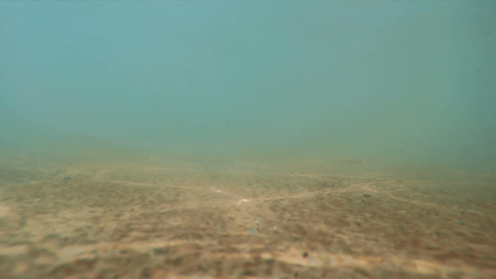 水下水面流动视频的预览图
