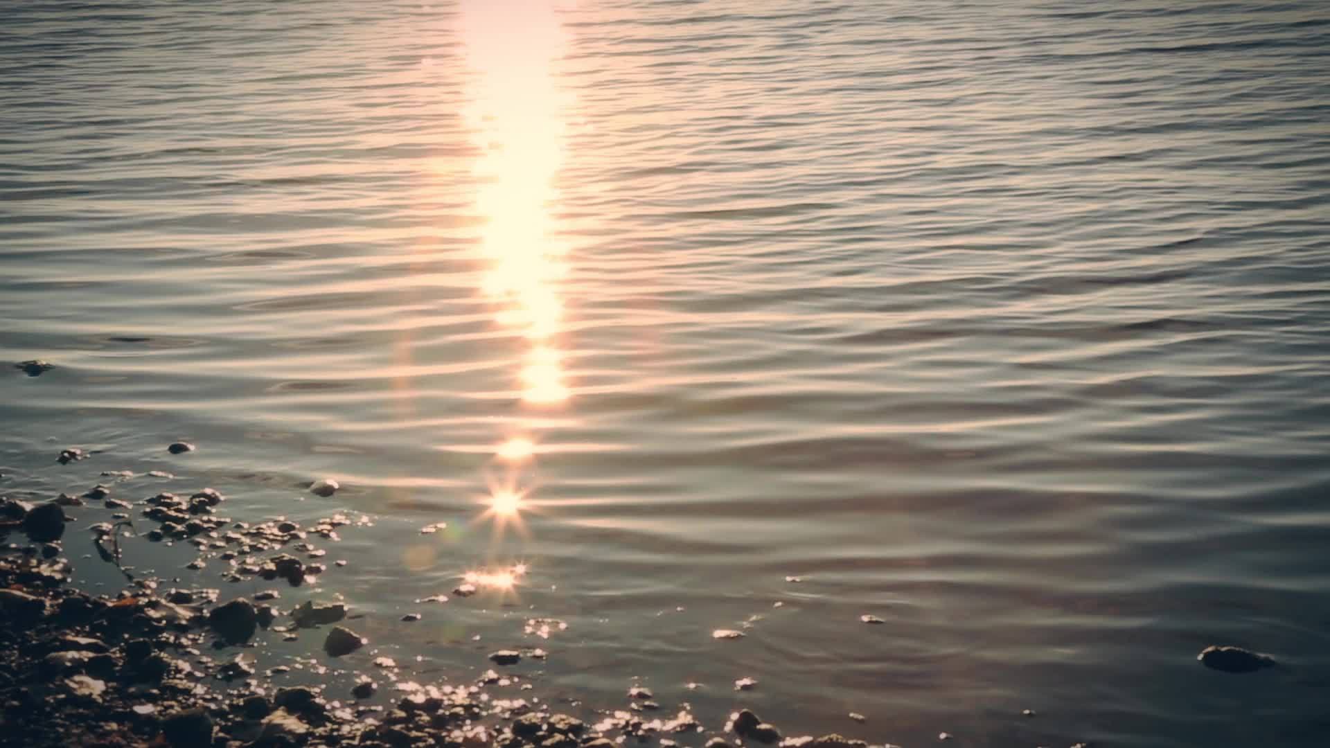 太阳照耀在水面上视频的预览图