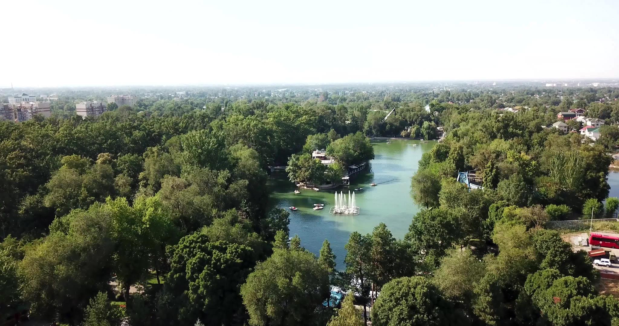公园绿树旁的池塘视频的预览图