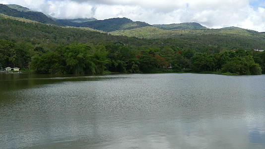 夏季公园里的森林湖泊和山景视频的预览图