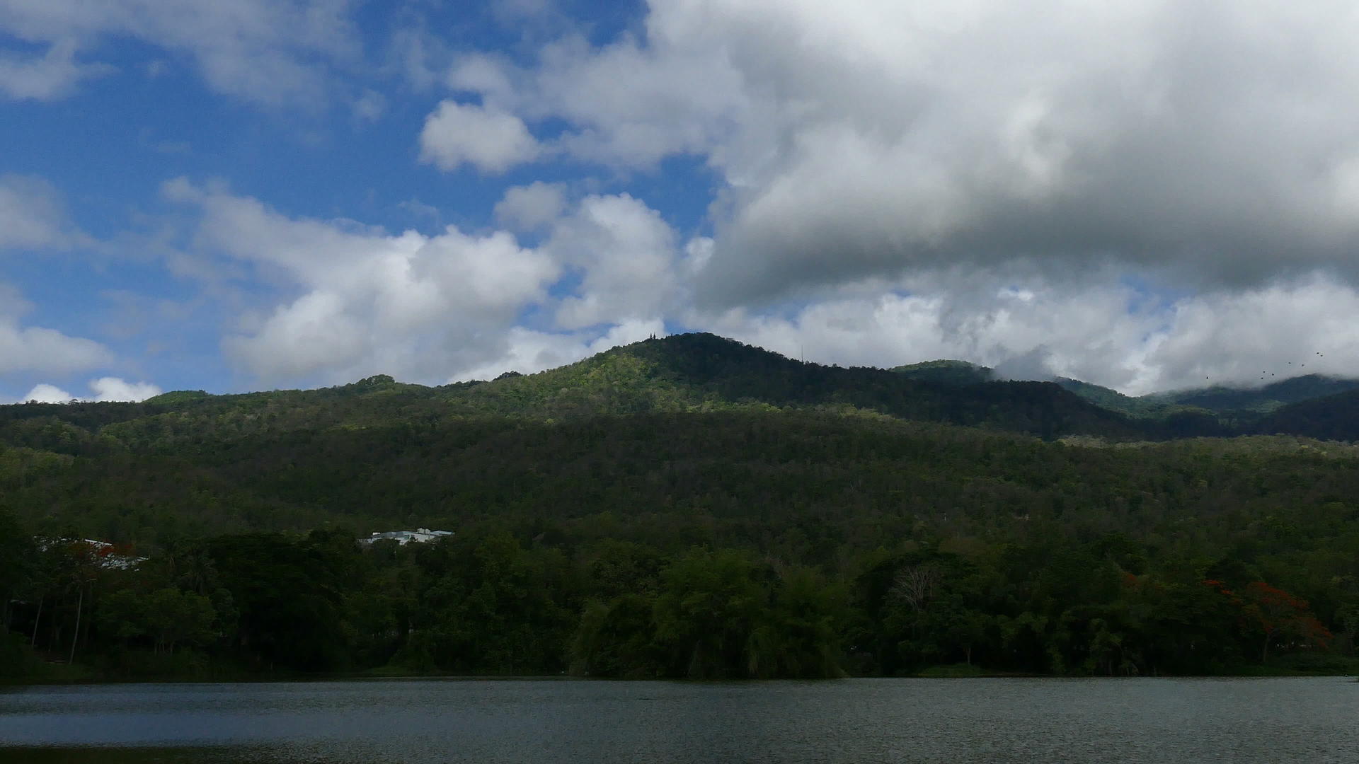 夏季公园里的森林湖泊和山景视频的预览图