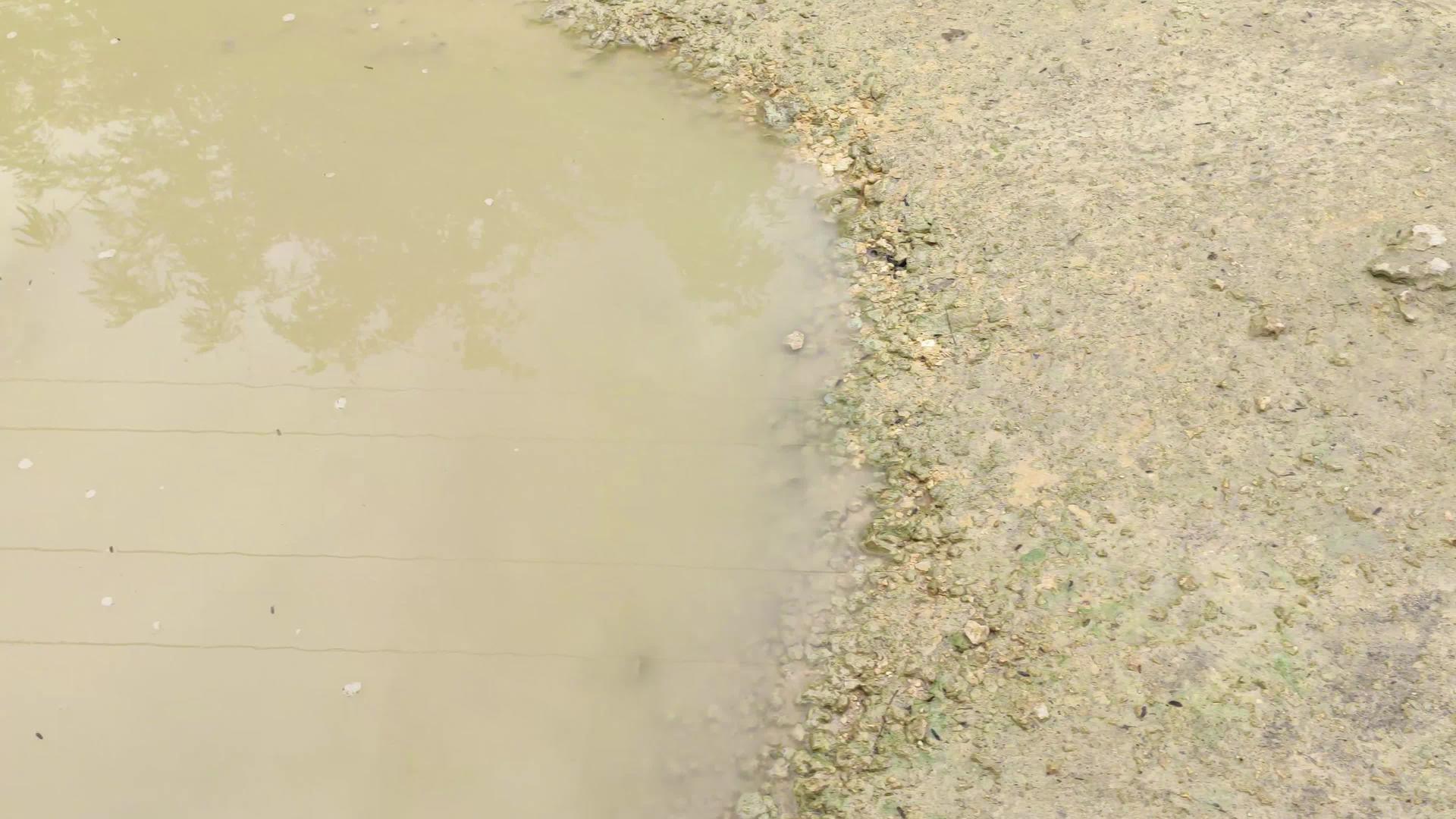 地面水坑在泥土路上视频的预览图