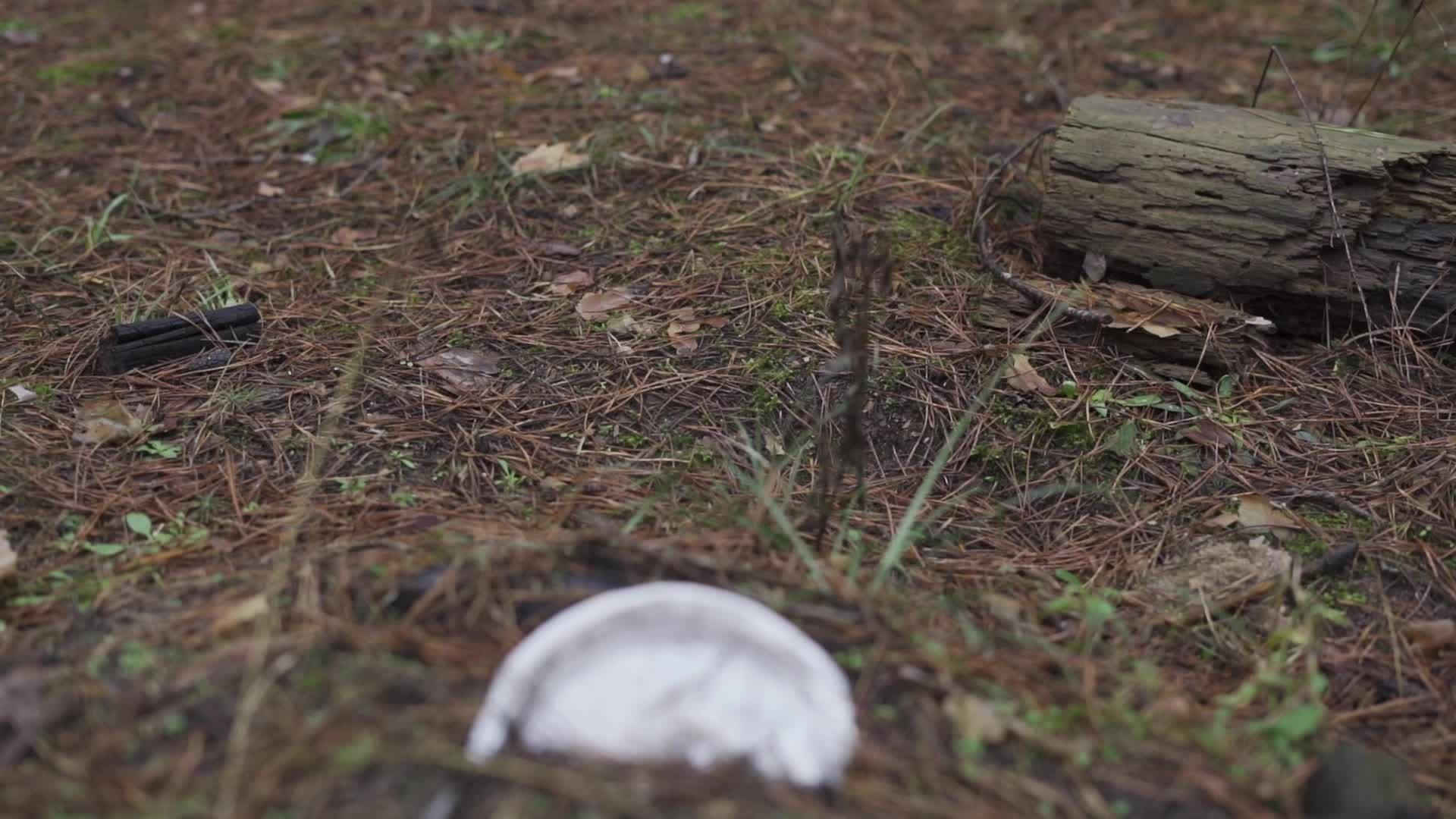 松林地面自然污染的塑料塑料板和可支配餐具视频的预览图
