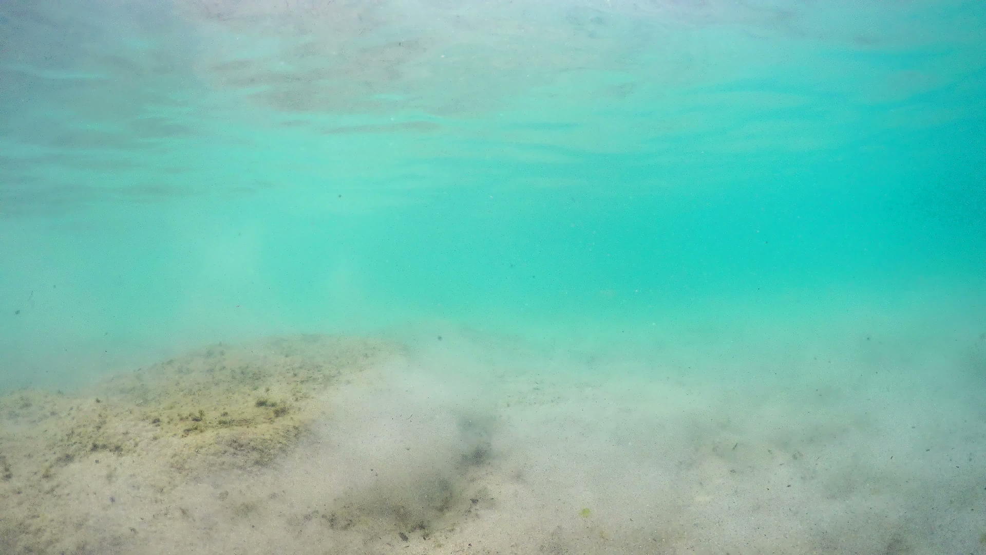 照相机摄像头污染了漂浮在地表波上的海床视频的预览图