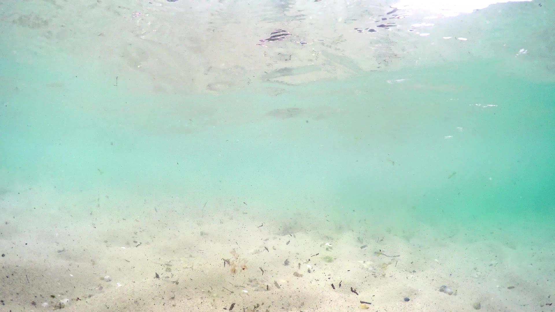 漂浮在表面波浪上的相机污染了海底视频的预览图