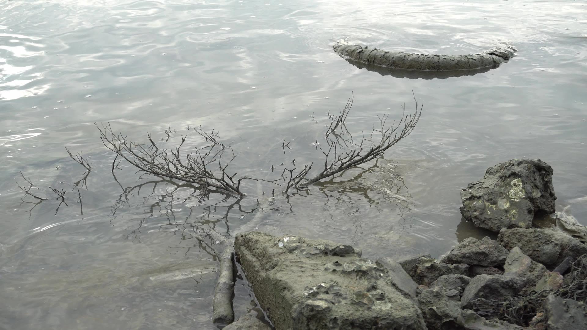 岸边的旧轮胎和树枝视频的预览图