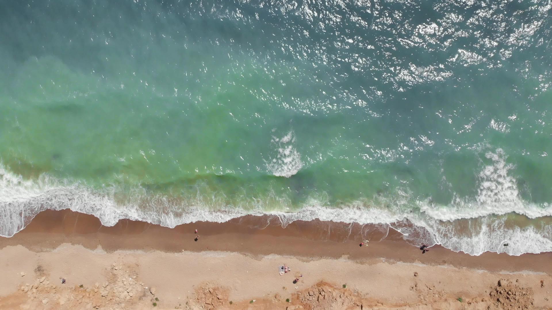 绿色海水污染问题在黑海乌家湾的海滩上对人们来说是最高的视频的预览图