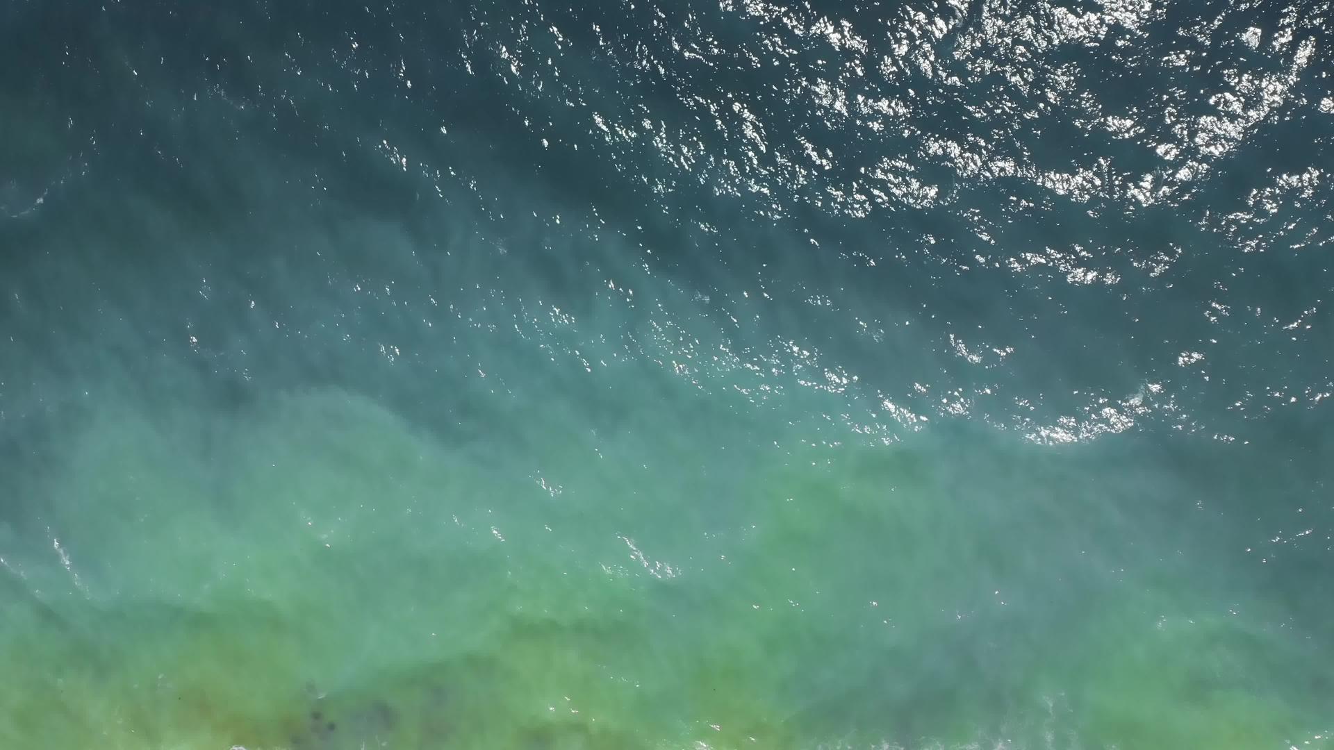 绿色海水污染问题是黑海水污染最高的视线ukraine视频的预览图