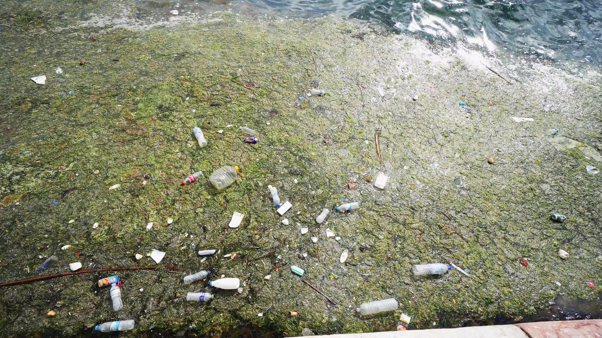 水塑料环境污染Thessaloniki市码头海水视频的预览图