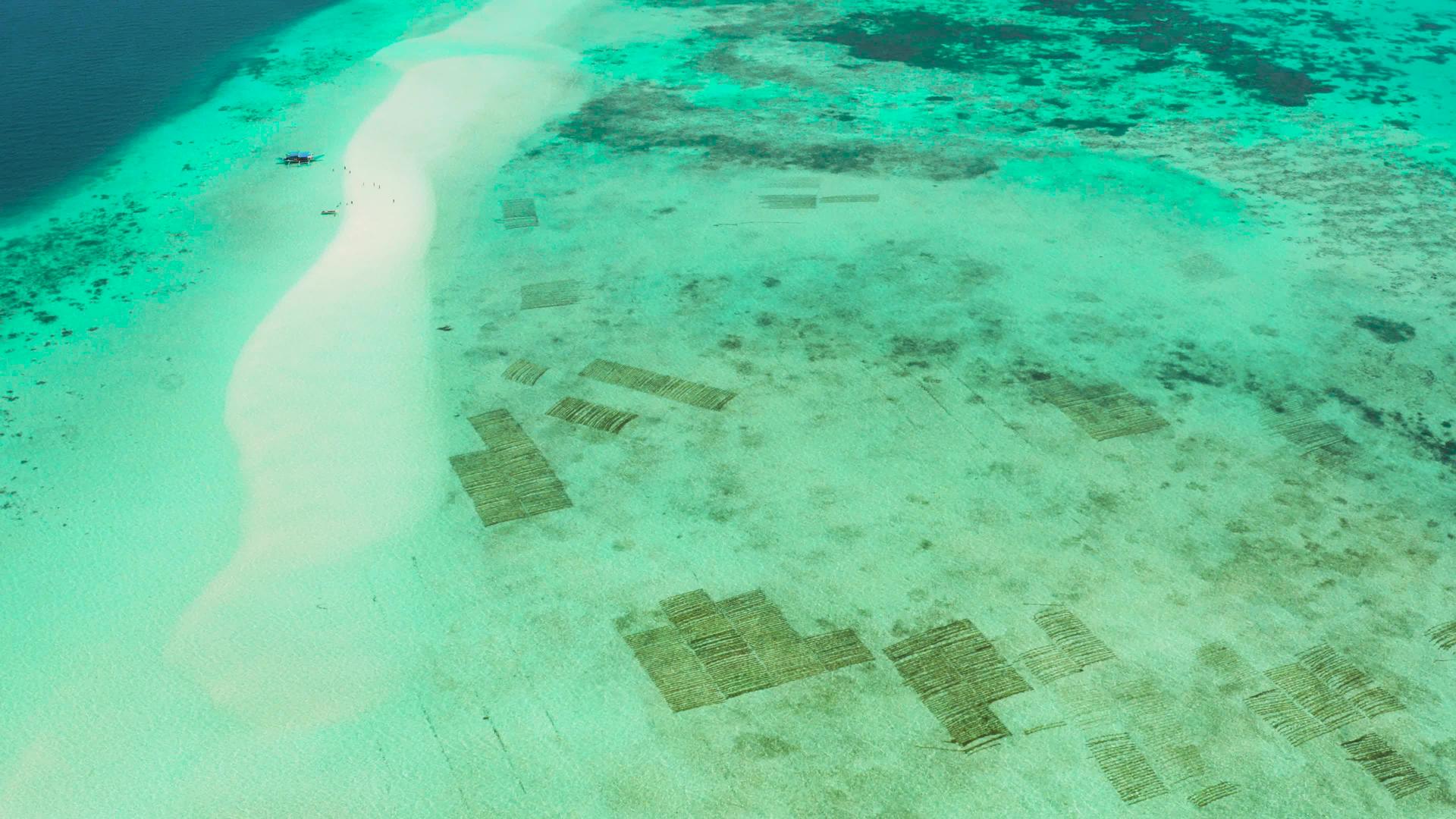 在环礁湖的海滩上有绿色的石头水巴拉巴克帕拉费利平斯视频的预览图