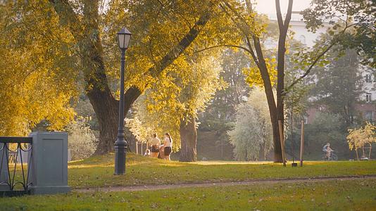 秋天夕阳下温馨的公园视频的预览图