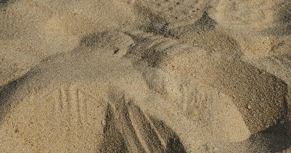 海滩上的干沙视频的预览图