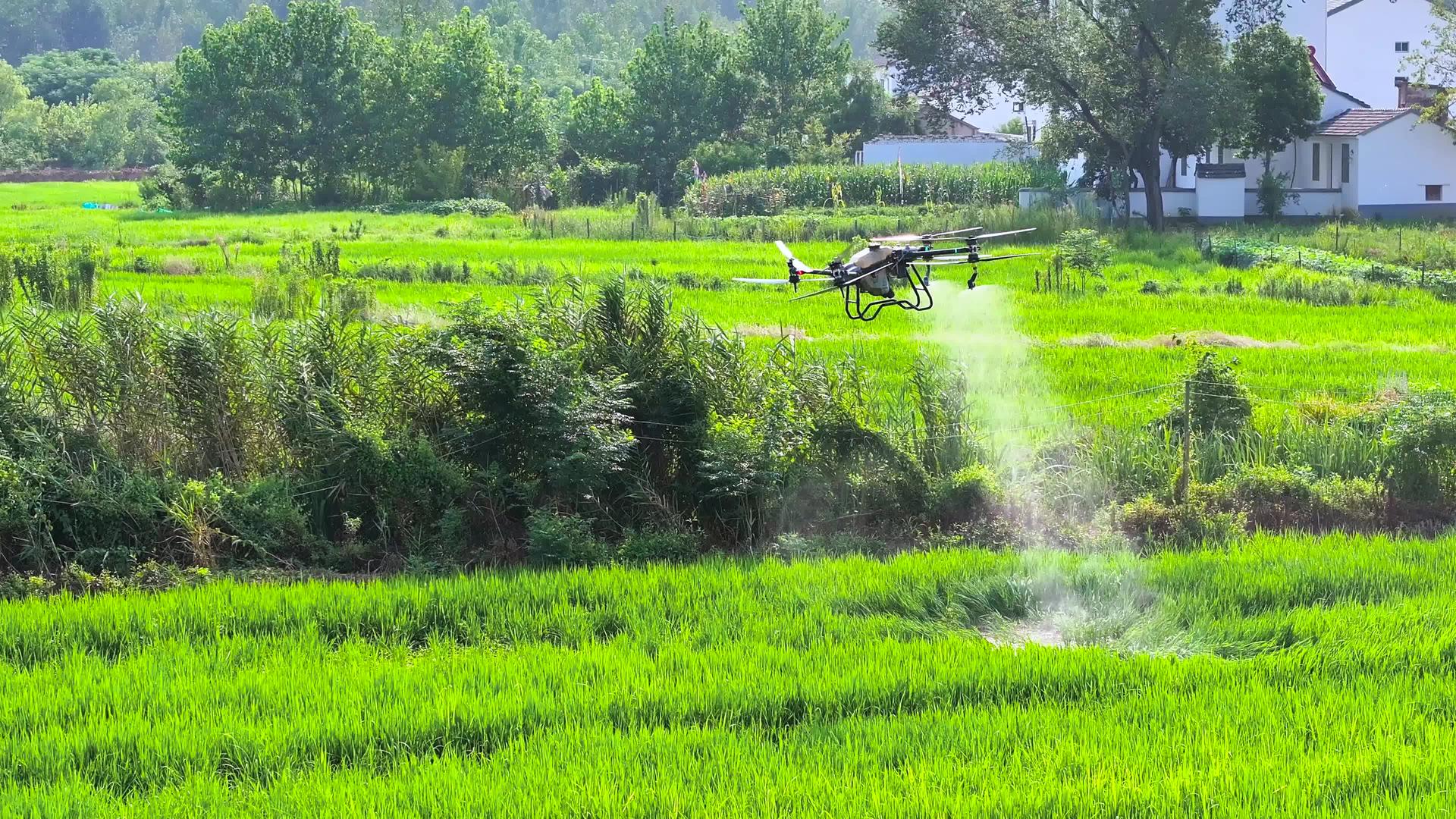 现代农业无人机4K航拍农药科技农业视频的预览图