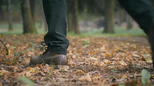 秋天森林中户外徒步的人走在落满枯叶的小道上视频的预览图