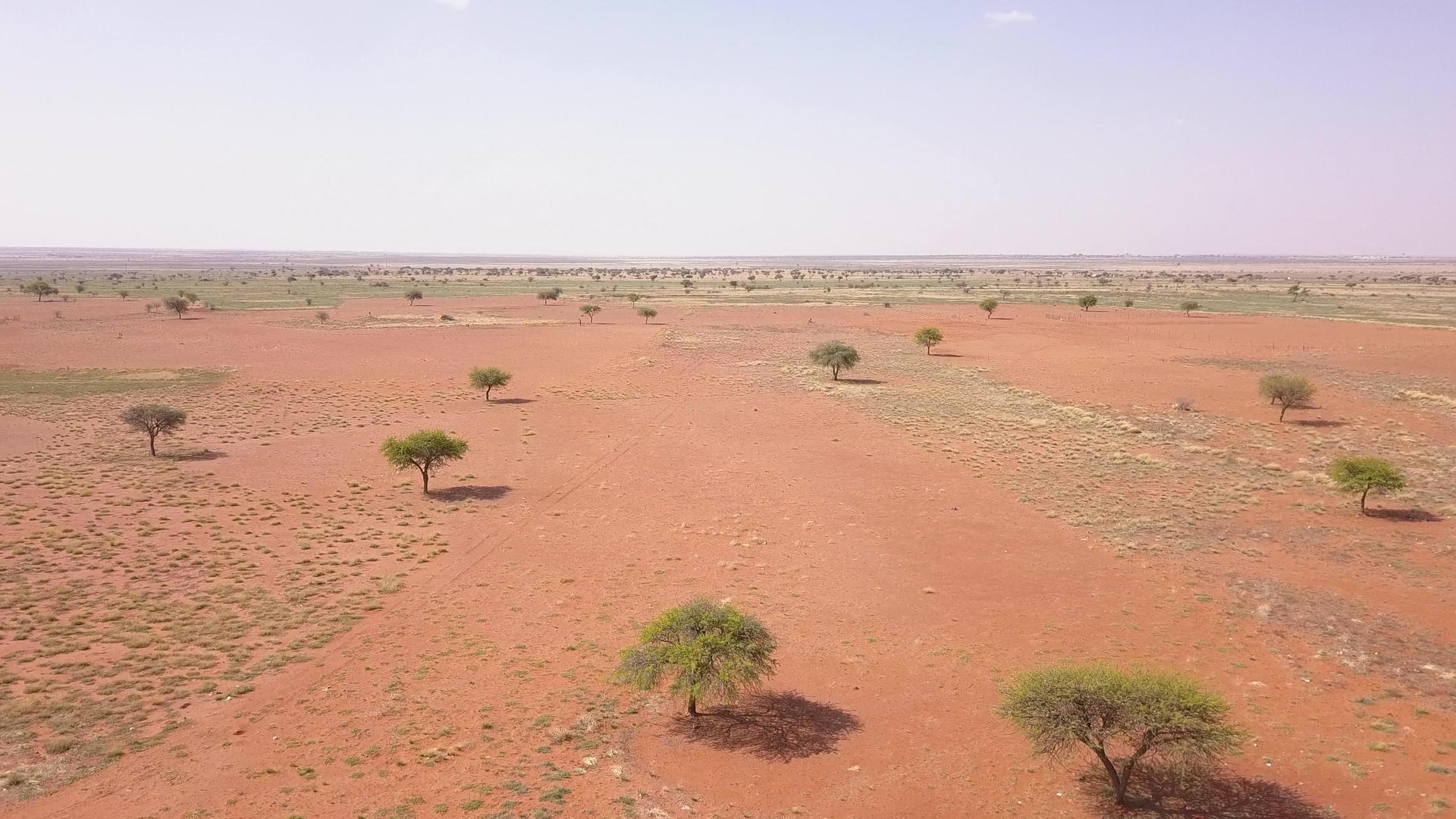 沙漠风景中有几棵树和红沙视频的预览图
